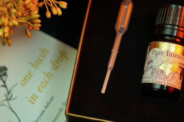 Karavana Aromaöl des Currykrauts
